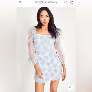 LoveShackFancy wells mini dress